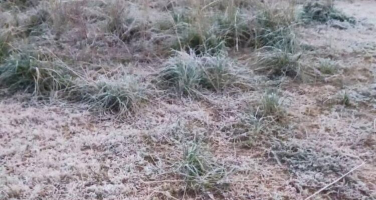 helada en miquihuana tamaulipas