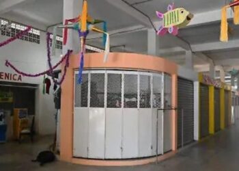 mercado avila camacho en tampico