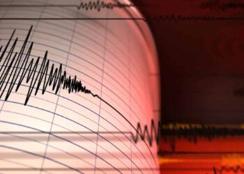 _microsismo en Coyoacán