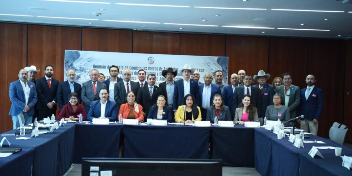 modernización del campo en Tamaulipas