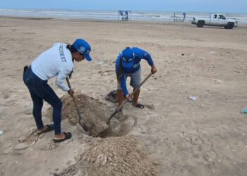 muerte de fauna marina en tamaulipas