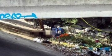 _muerto en el Río Santa Catarina