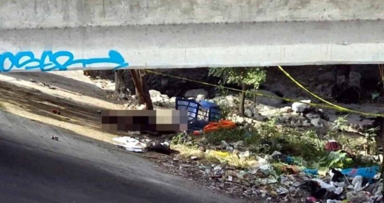 _muerto en el Río Santa Catarina