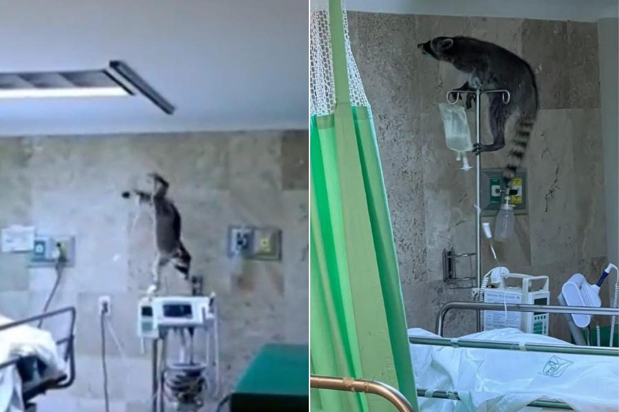 negligencia médica imss madero