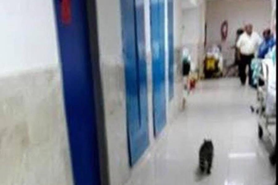 negligencia médica imss madero