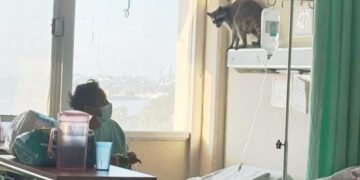 negligencia médica imss madero