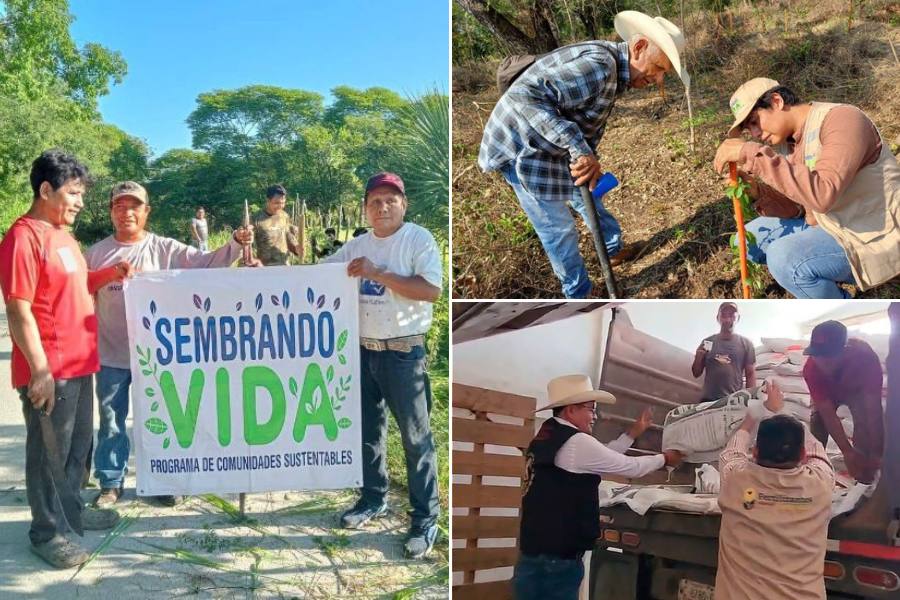 producción para el bienestar en tamaulipas