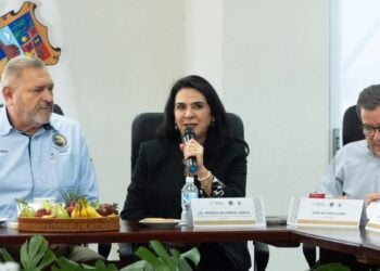 proyecto de la antigua aduana tampico