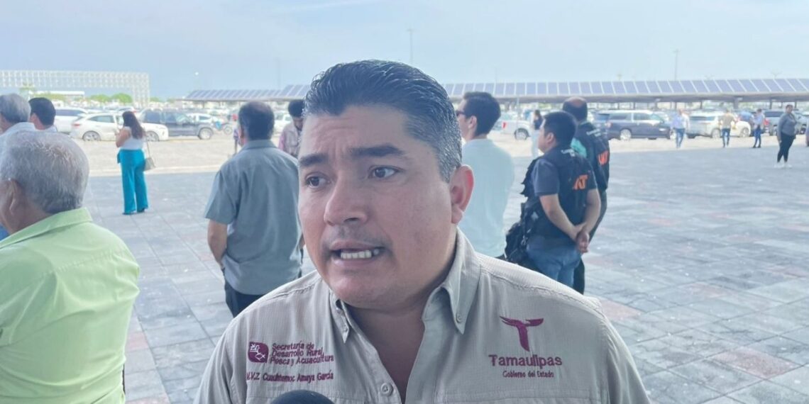 proyecto para producción de carne en Tamaulipas