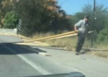_rapiñan madera en Montemorelos
