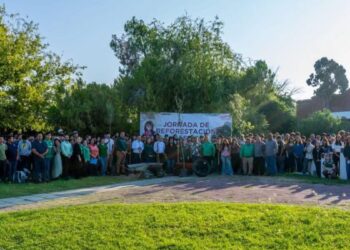 reforestación con el ITNL