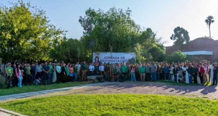 reforestación con el ITNL