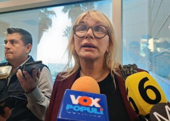 reforma sobre grúas en Tamaulipas