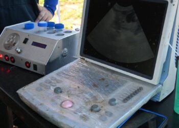 reproducción asistida para ganado en tamaulipas