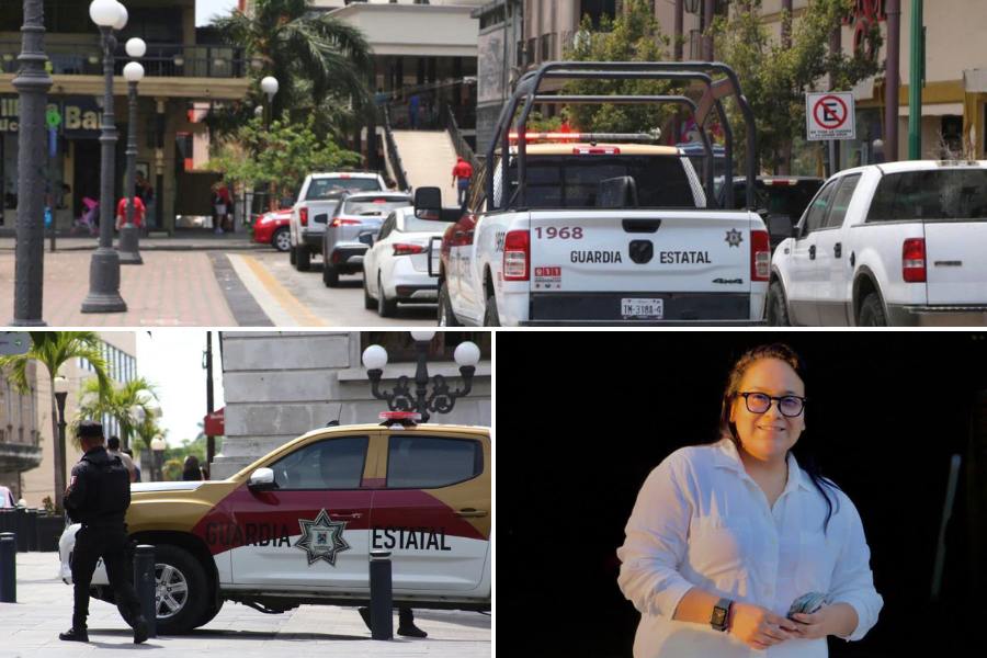 seguridad ciudadana en Tampico