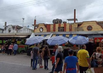 vigilancia en mercados de tampico