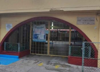_virus Coxsackie en Tampico