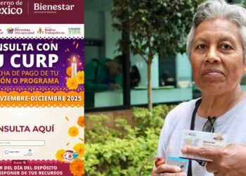 ¿Cómo consultar con tu CURP cuándo recibirás tu pago de la Pensión Bienestar?