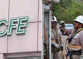 ¿Cómo puedes invertir en la CFE con tan solo 100 pesos?