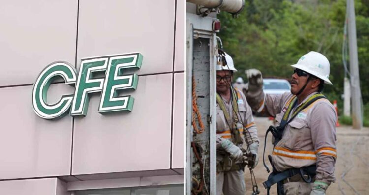 ¿Cómo puedes invertir en la CFE con tan solo 100 pesos?