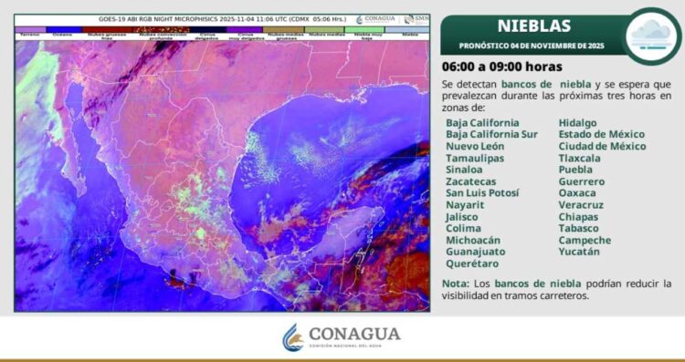 ¿Pronostican viento y temperaturas cálidas en Tamaulipas?