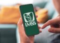 ¿Qué es el tarjetón digital del IMSS y cómo tramitarlo