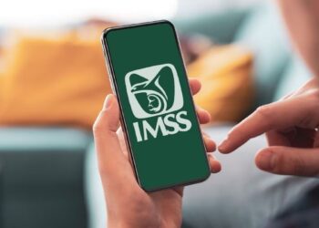 ¿Qué es el tarjetón digital del IMSS y cómo tramitarlo