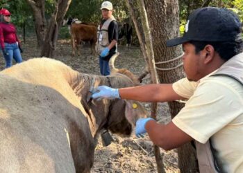 Acción inmediata y coordinación interinstitucional ante caso de GBG en Tamaulipas
