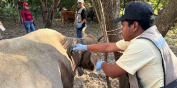Acción inmediata y coordinación interinstitucional ante caso de GBG en Tamaulipas