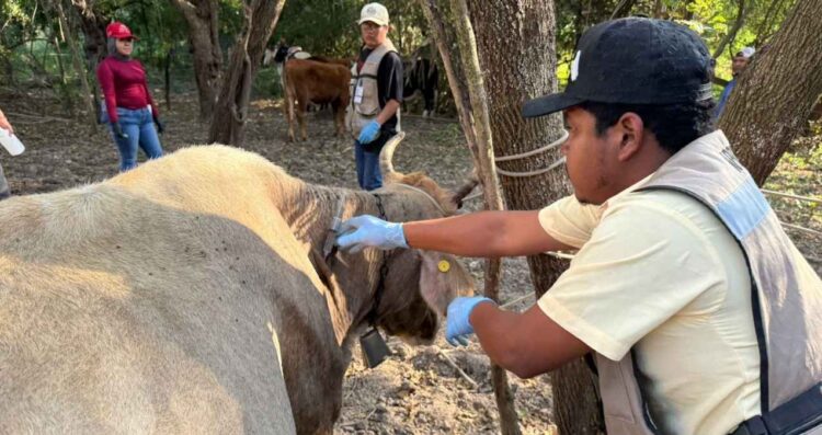 Acción inmediata y coordinación interinstitucional ante caso de GBG en Tamaulipas