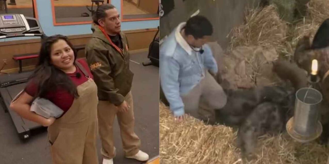 Acusan de presunto maltrato animal a ‘La Bea’ y Teo dentro de La Granja VIP