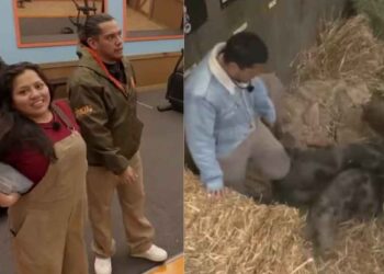 Acusan de presunto maltrato animal a ‘La Bea’ y Teo dentro de La Granja VIP