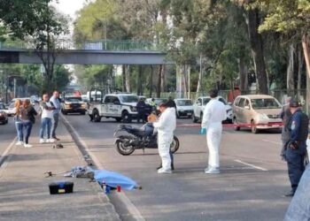 Presidente Madero adulto atropellado