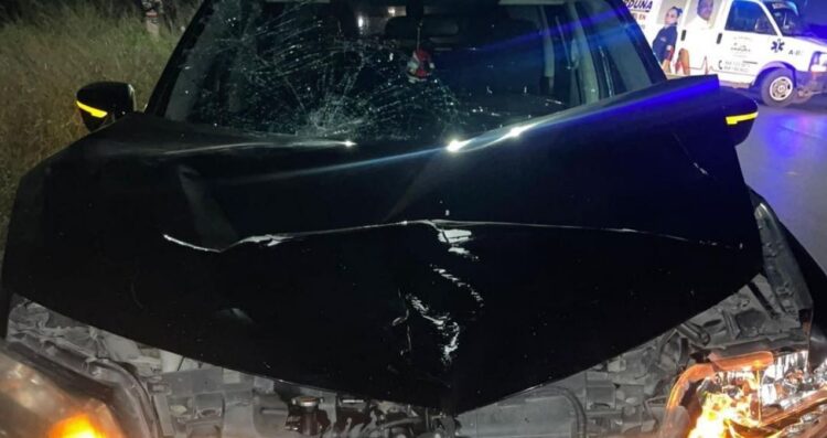 Atropellan a vaca en la Avenida Marte R. Gómez, en Matamoros, Tamaulipas