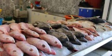 Bacalao sigue con ventas bajas en Ciudad Madero pese a ligera mejora en 2025