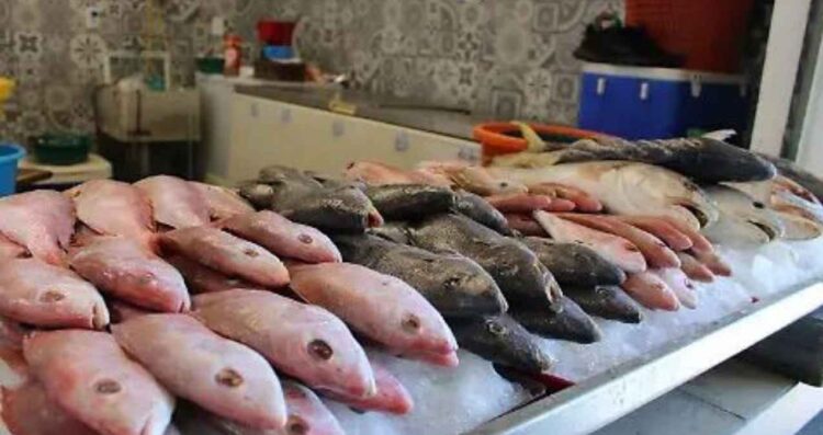 Bacalao sigue con ventas bajas en Ciudad Madero pese a ligera mejora en 2025