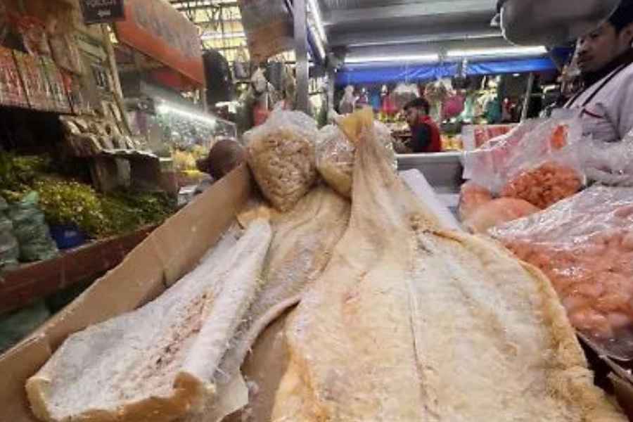 Bacalao sigue con ventas bajas en Ciudad Madero pese a ligera mejora en 2025