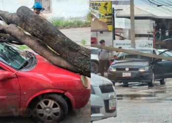 frente frío diversas afectaciones zona sur