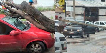 frente frío diversas afectaciones zona sur