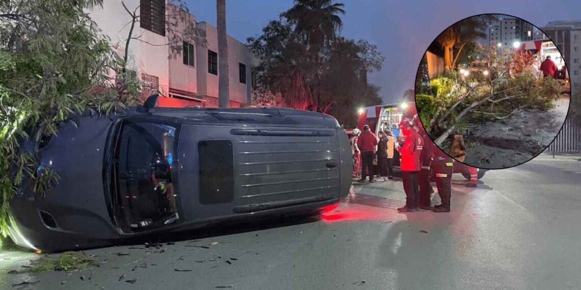 Conductora choca su camioneta contra árbol y vuelca en avenida Céntrika Principal de Monterrey, NL