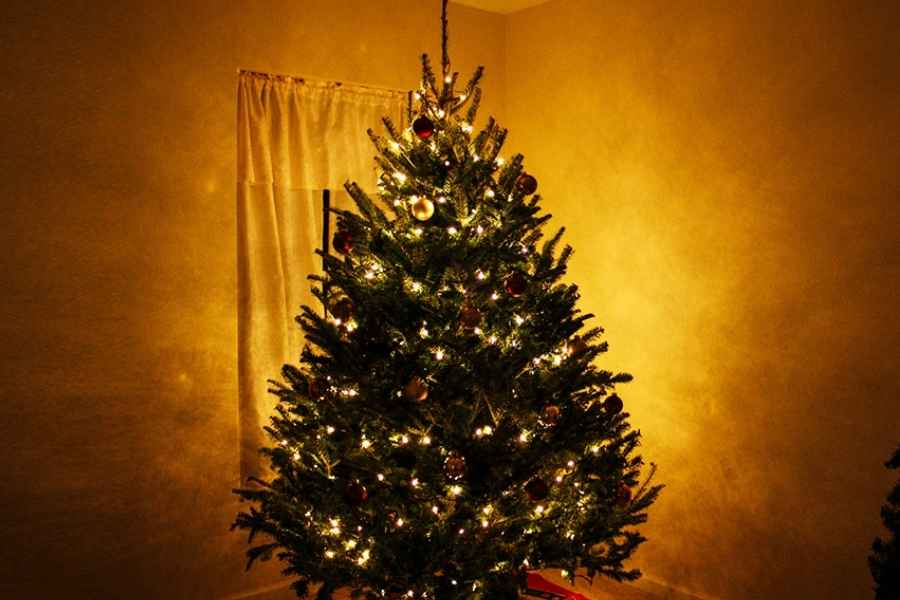 Consejos de seguridad para unas fiestas navideñas sin riesgos