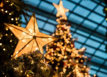 Consejos de seguridad para unas fiestas navideñas sin riesgos