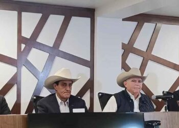 exportación ganado bovino pérdidas