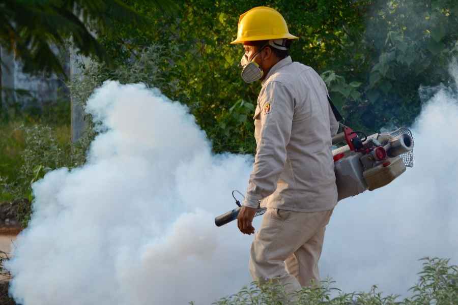 México supera 20 mil contagios de dengue y registra 85 muertes durante 2025