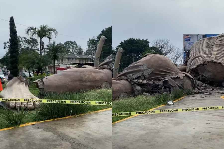 _'El Colotero' en Álamo Temapache (1)