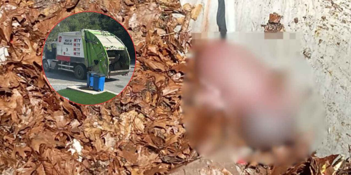 bebé camión de basura Monterrey