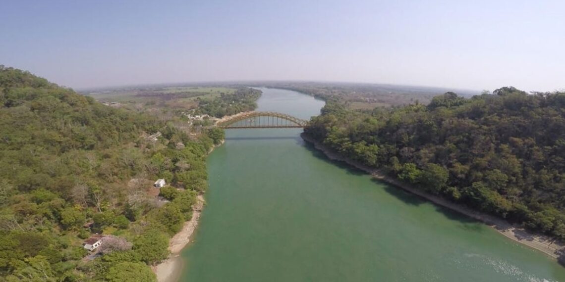 Entregar agua a EUA causaría “mucha hambre” en México, advierte el Consejo Nacional Agropecuario