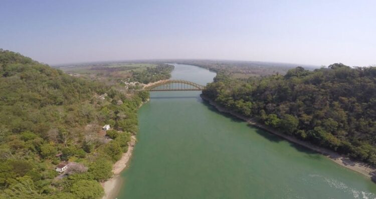 Entregar agua a EUA causaría “mucha hambre” en México, advierte el Consejo Nacional Agropecuario