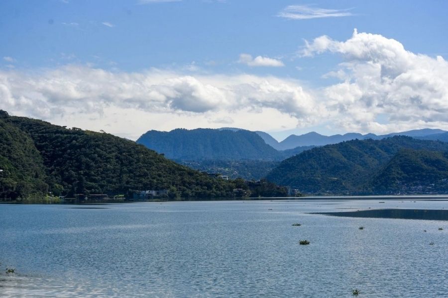 Entregar agua a EUA causaría “mucha hambre” en México, advierte el Consejo Nacional Agropecuario