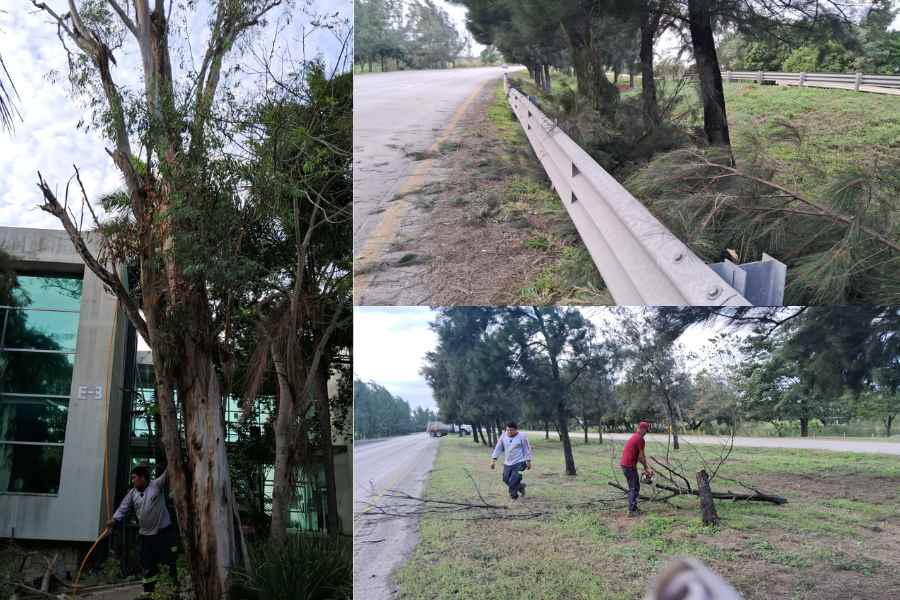 Frente frío 25 en Altamira (1)